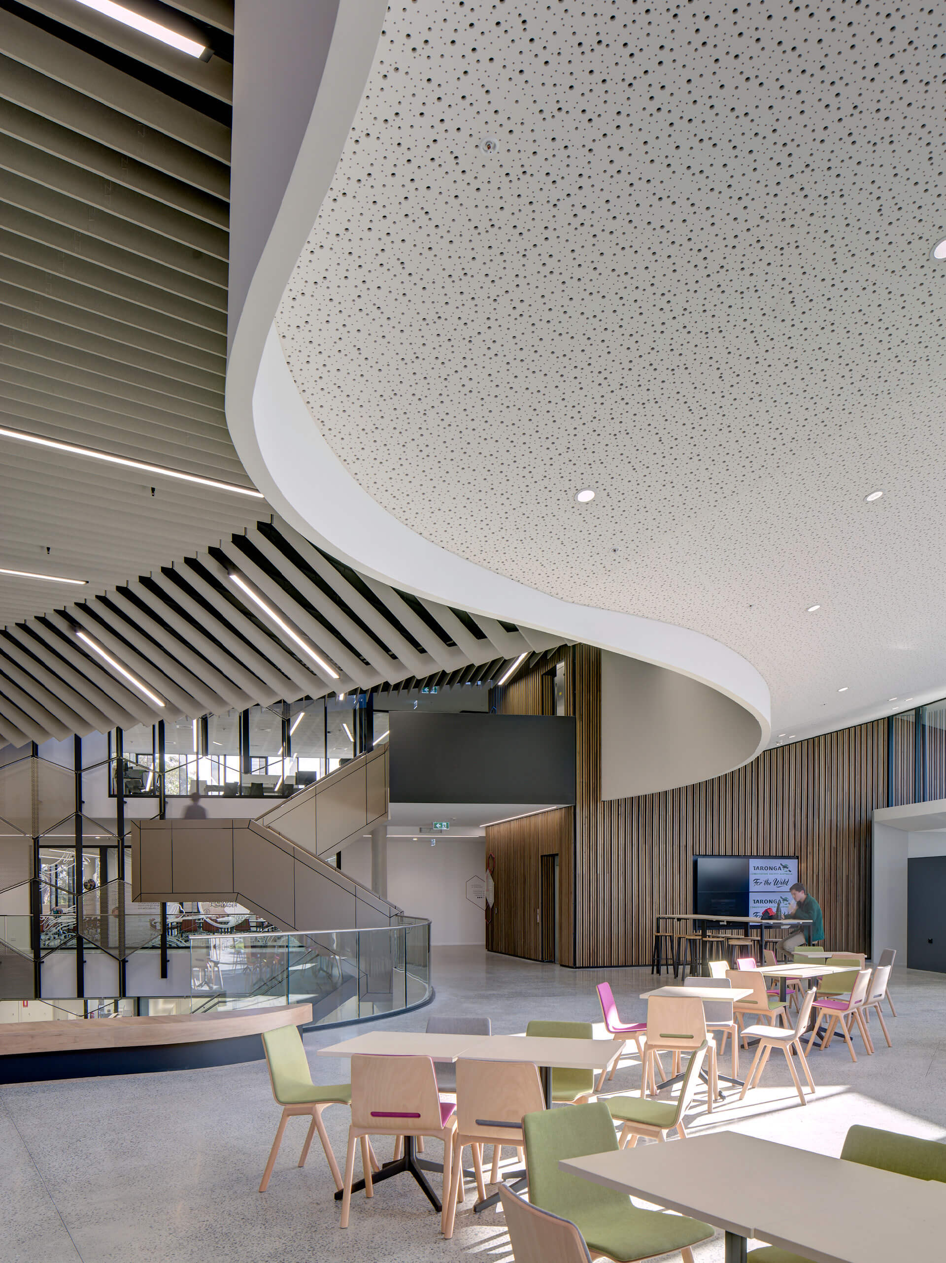 18 communal area with seating in central atrium with ceiling feature taronga zoo institute sydney taylor construction education