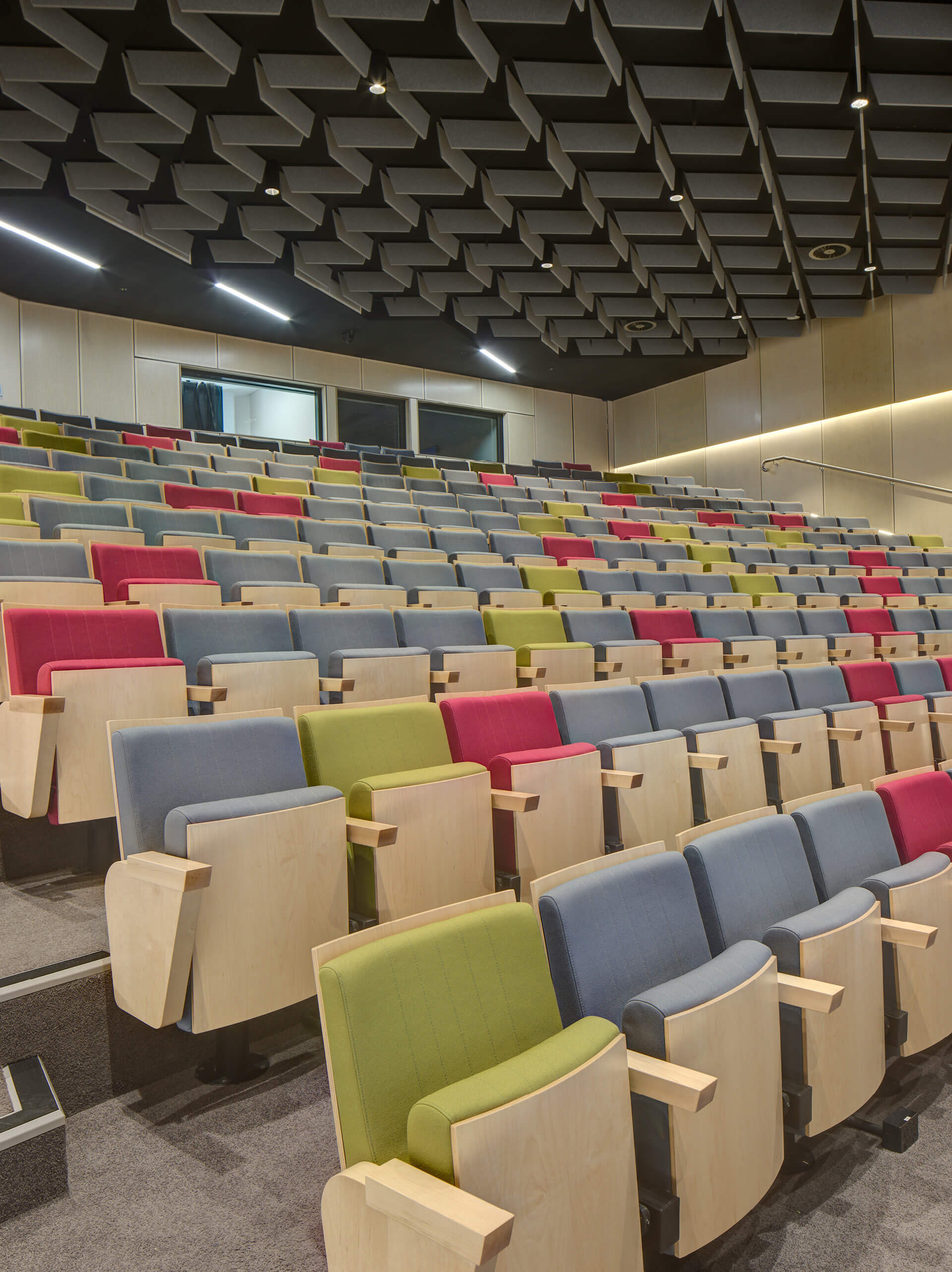 26 vibrant shot of lecture theatre seating and ceiling feature taronga zoo institute sydney taylor construction education