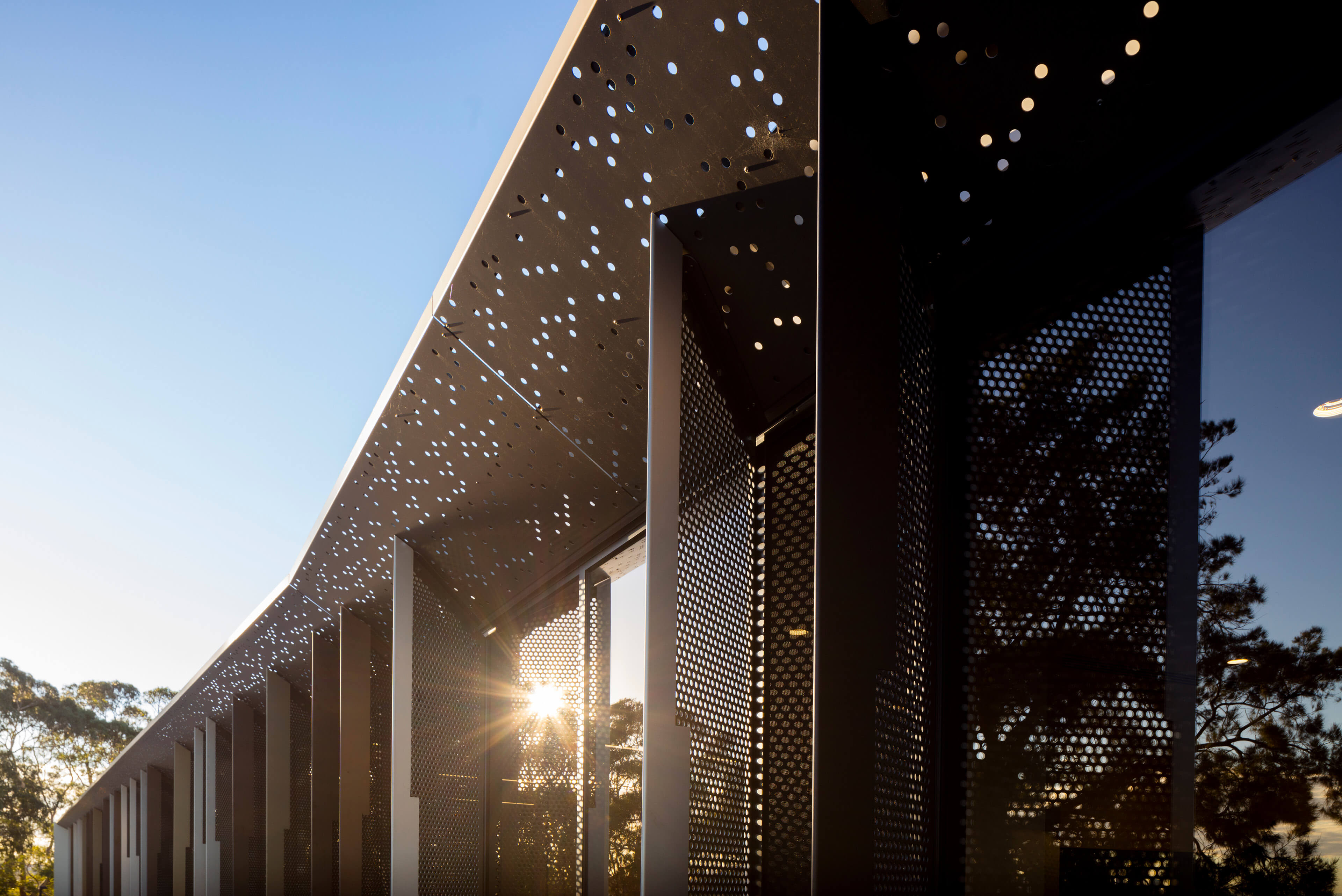4 perforated architectural detailing with sun beaming through at taronga zoo institute sydney taylor construction education