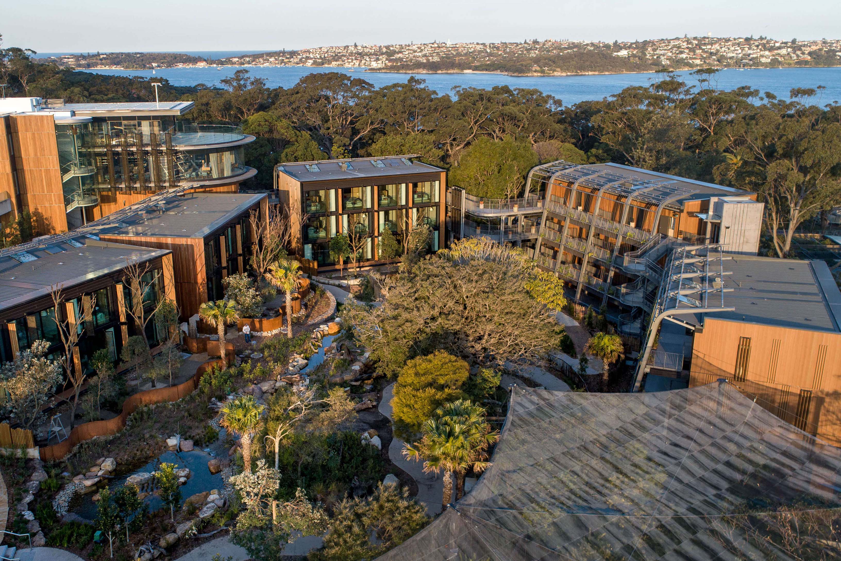 5 aerial view of private wildlife sanctuary surrounded by the wildlife retreat at taronga wildlife retreat sydney taylor construction hospitality