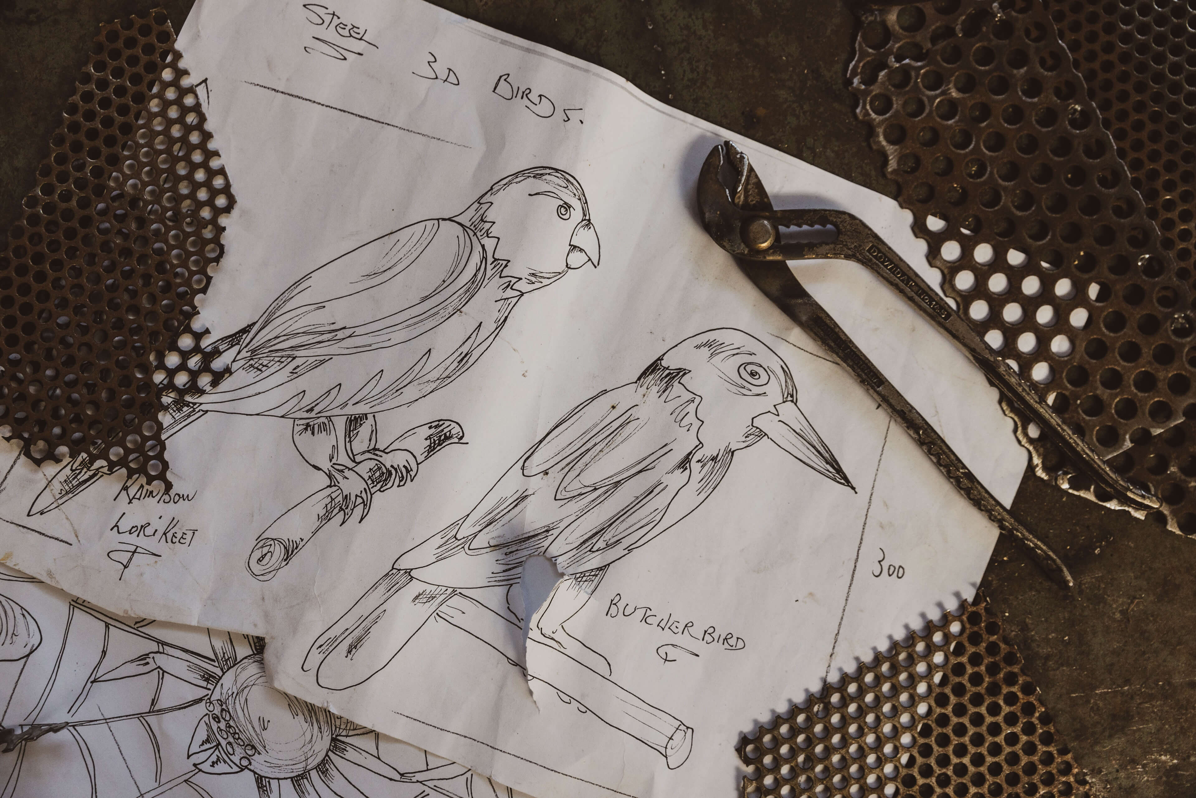 03 diversity and inclusion boomalli artist joe hurst sketches of birds with tools at francescos forge in botany taylor construction photography