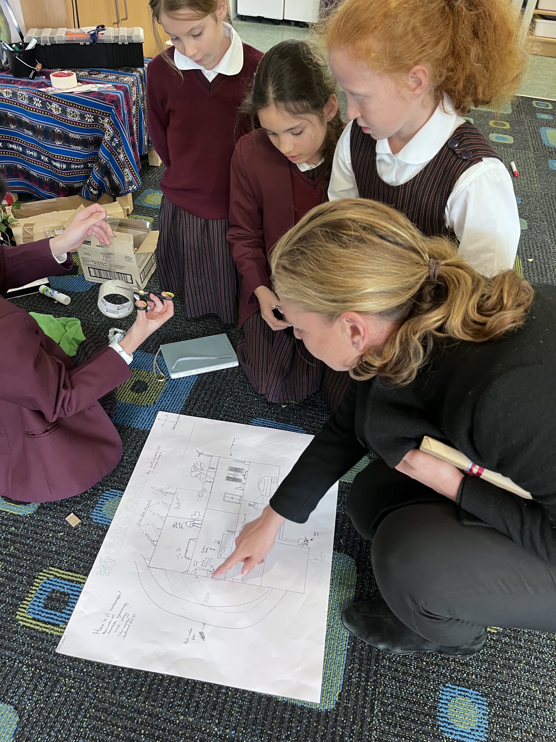 roseville college year5 sustainability project news 1
