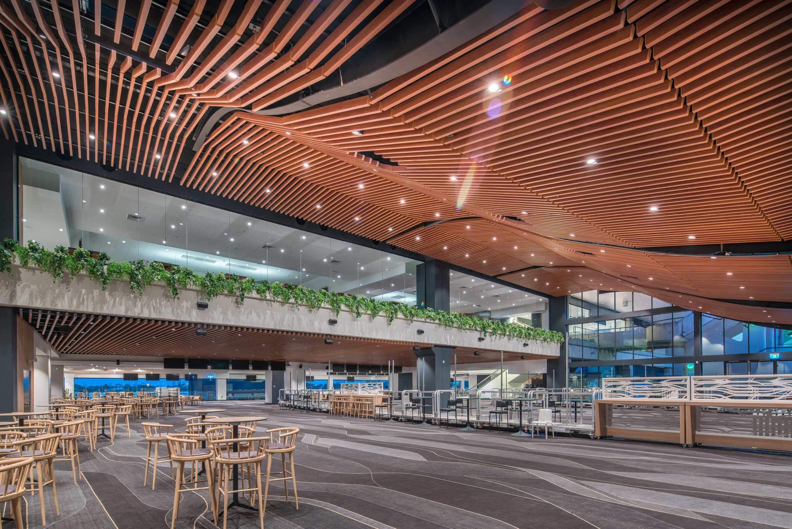 1 ceiling wooden feature rosehill racecourse refurbishment taylor construction hospitality community